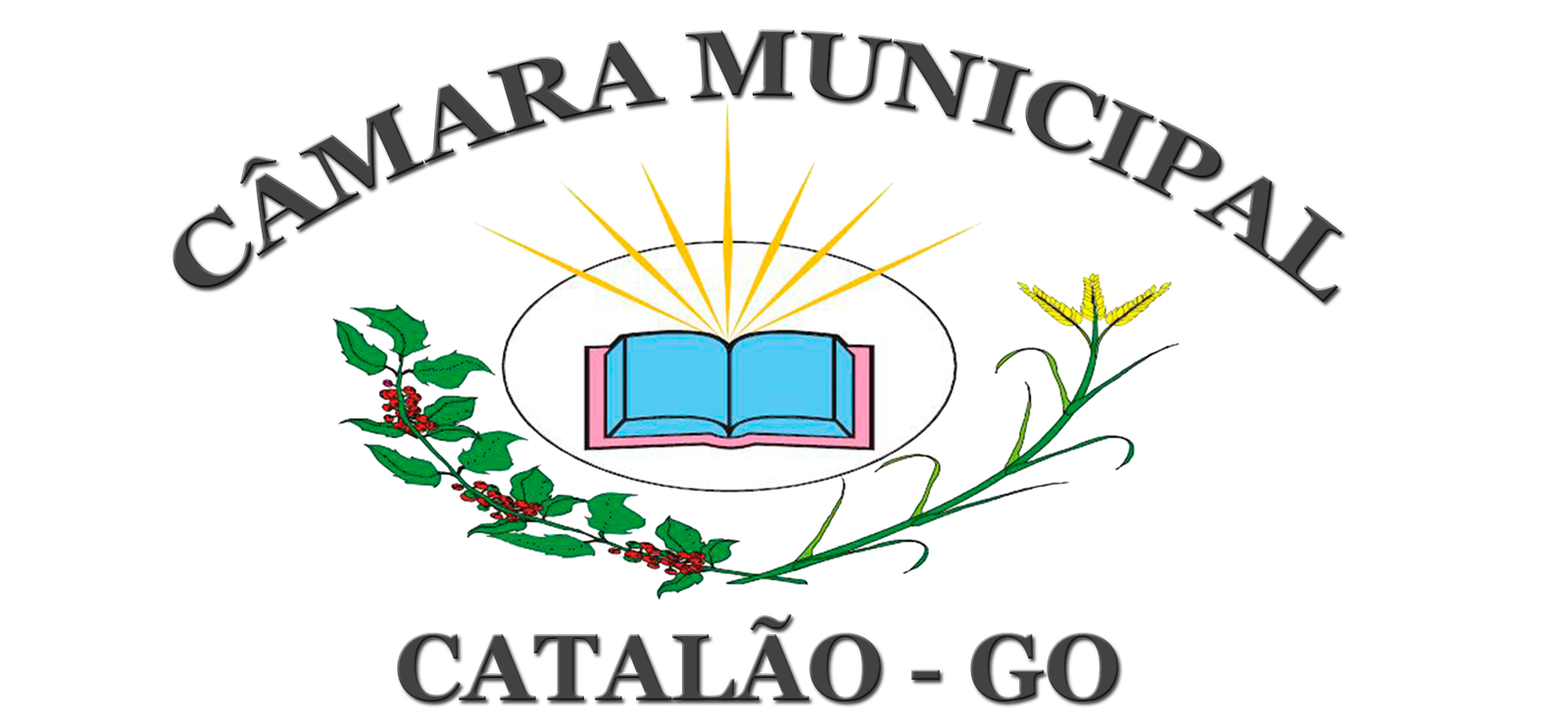 C&acirc;mara Municipal de Catal&atilde;o